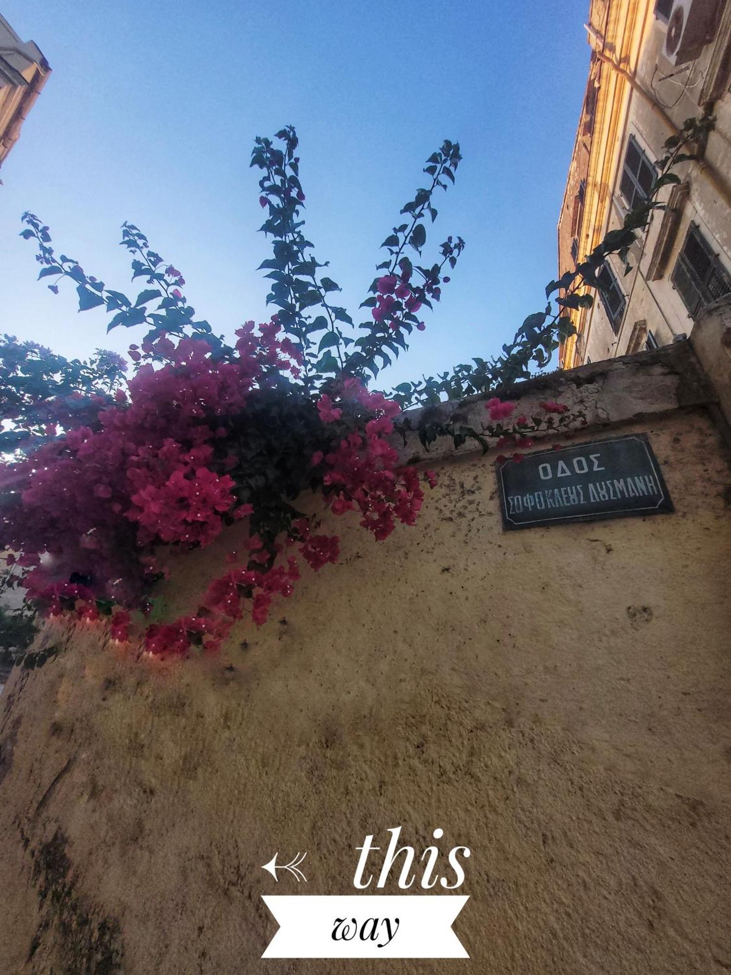 Nenas Volto Apartment Corfu  Exterior photo